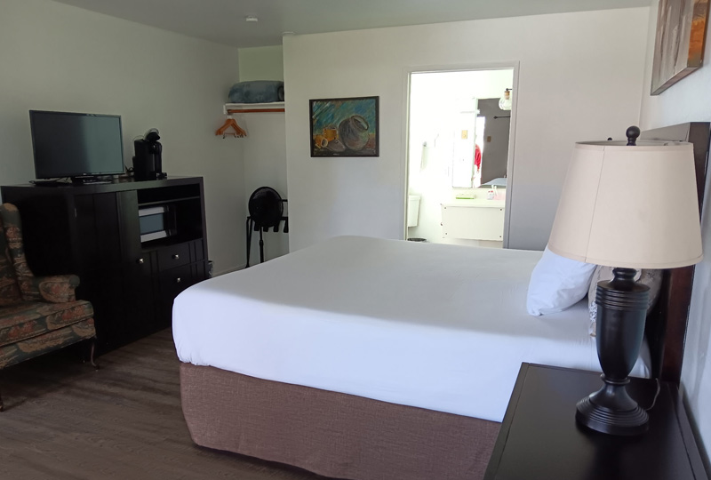 Deluxe King Studio Bedroom